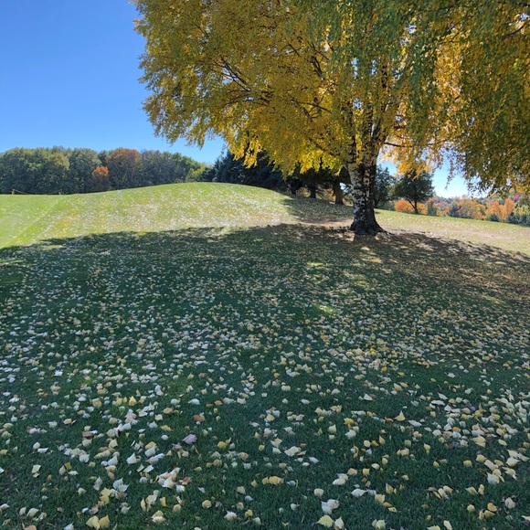 Meet your Posher, Rachel - Picture 1 of 1